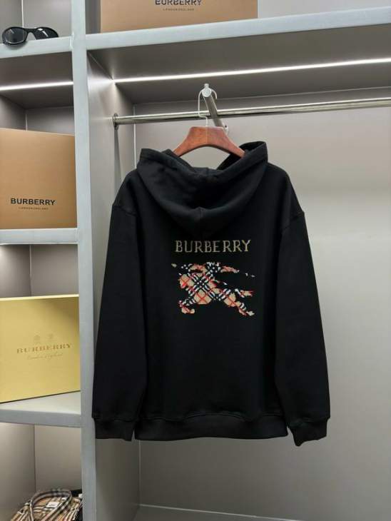 Picture of Burberry Hoodies _SKUBurberryS-2XLaztxB2251859
